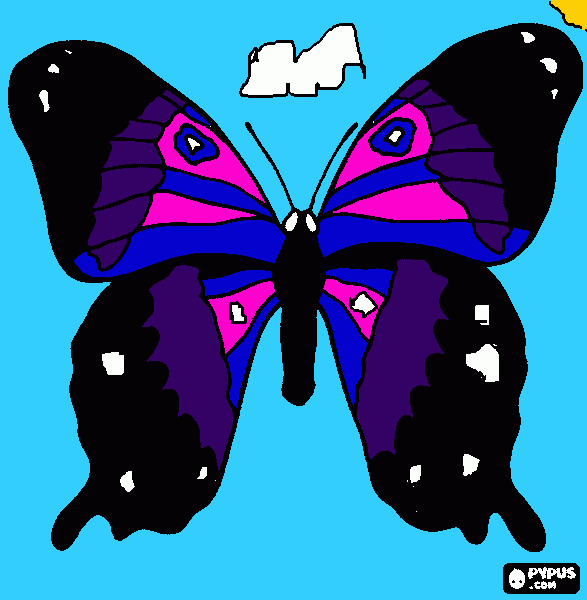 A  butterfly coloring page