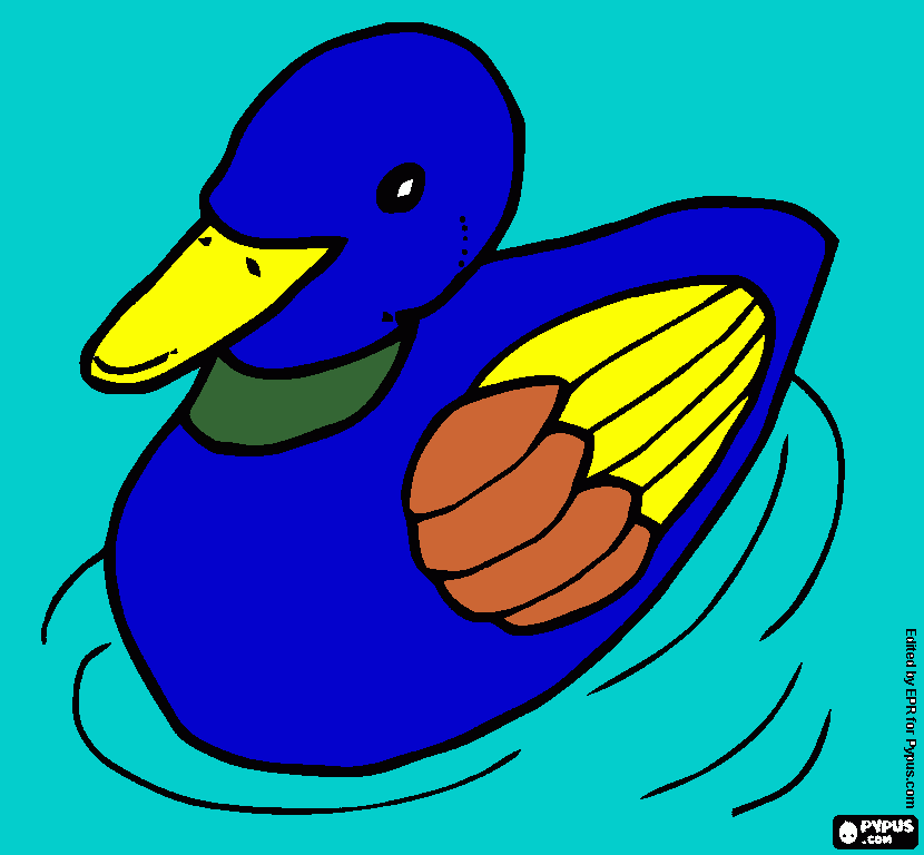 a colorful duck  coloring page