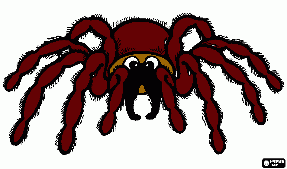 A dumb spider with dumb fat legs coloring page