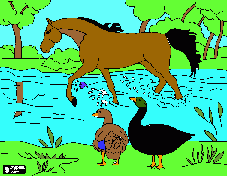 A horse in a river coloring page