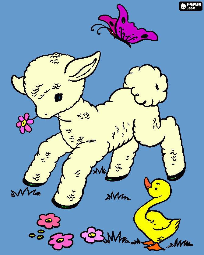 a playful lamb coloring page