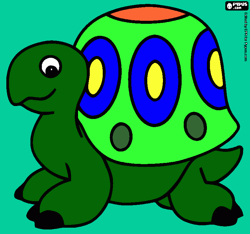 A tortoise coloring page