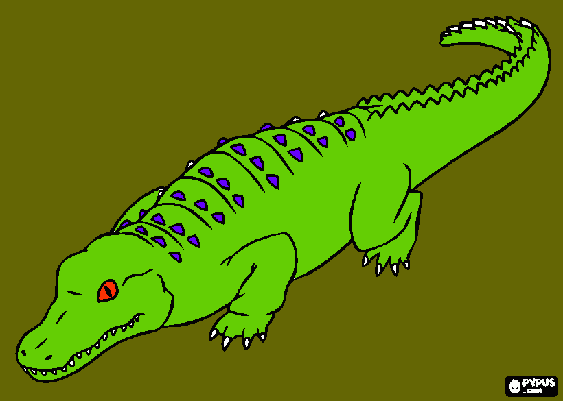 American Alligator coloring page