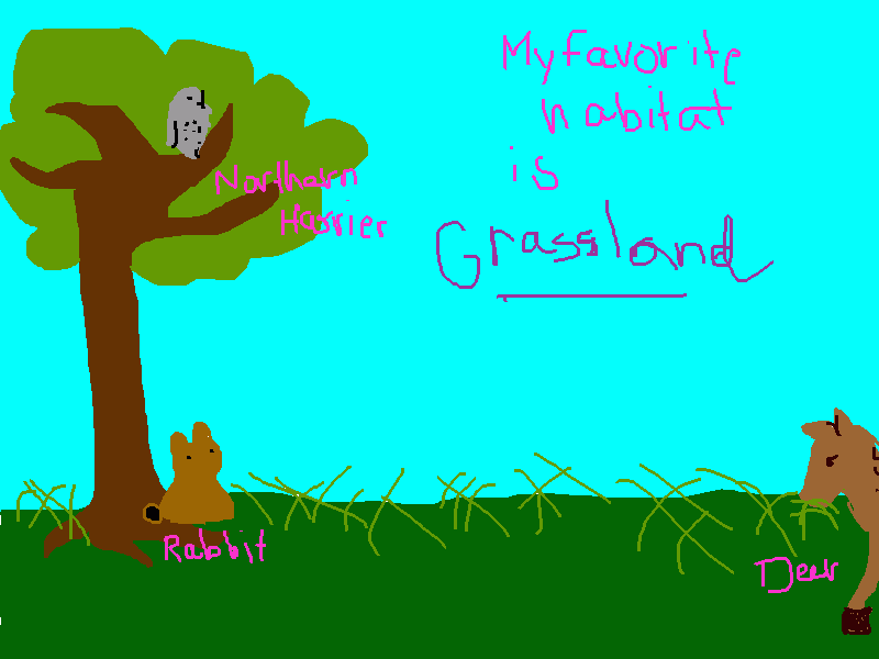 Archana's habitat project-grassland coloring page