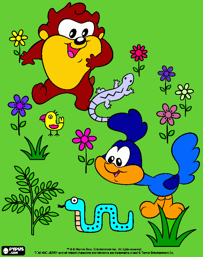 Baby Taz And Road Runner coloring page