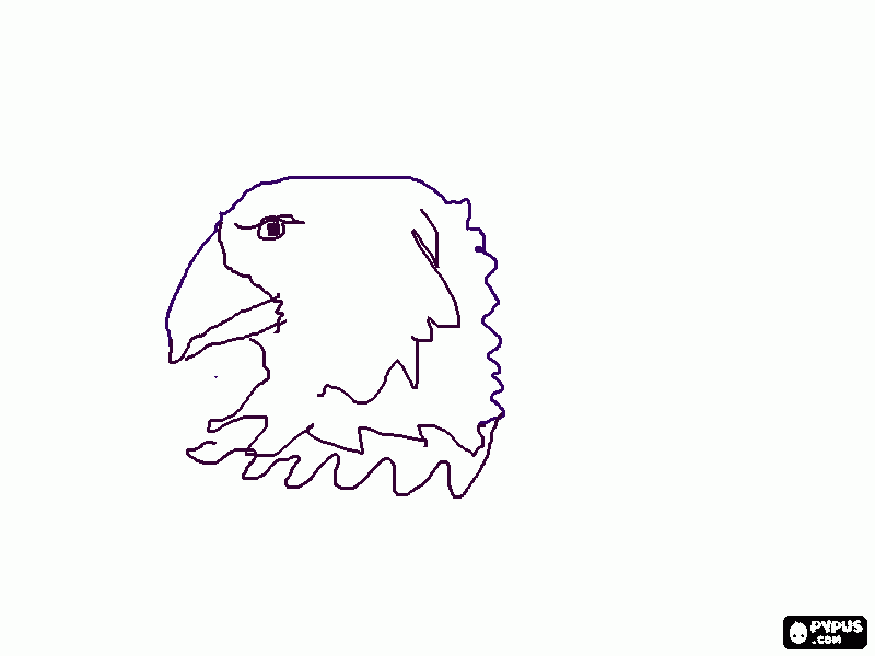 baileys eagle coloring page