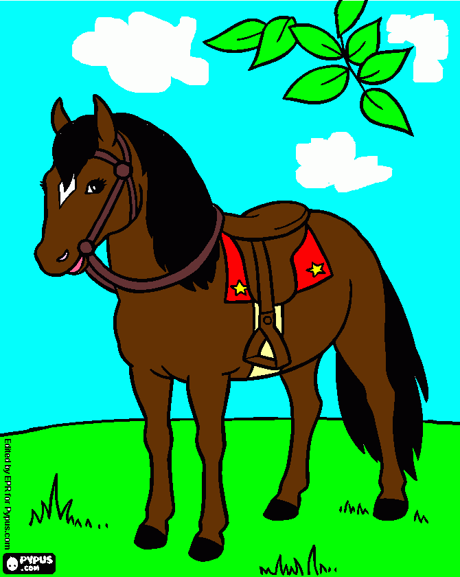  Bay horse ready to ride. coloring page