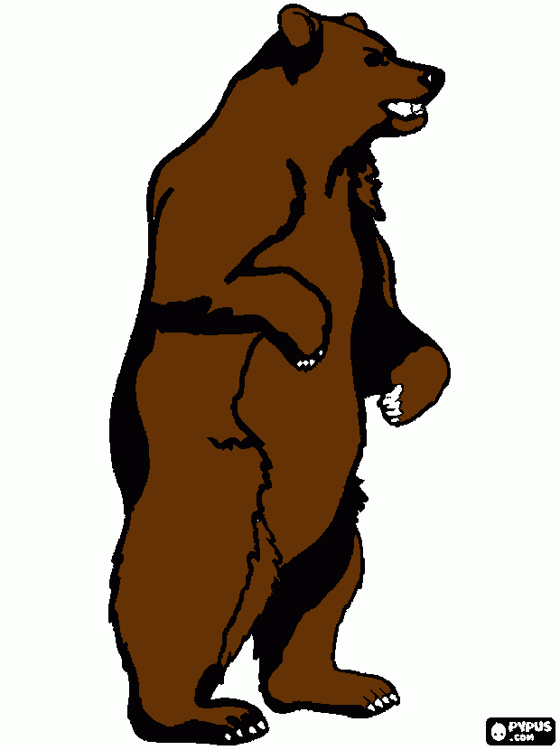 Bear 4 College coloring page