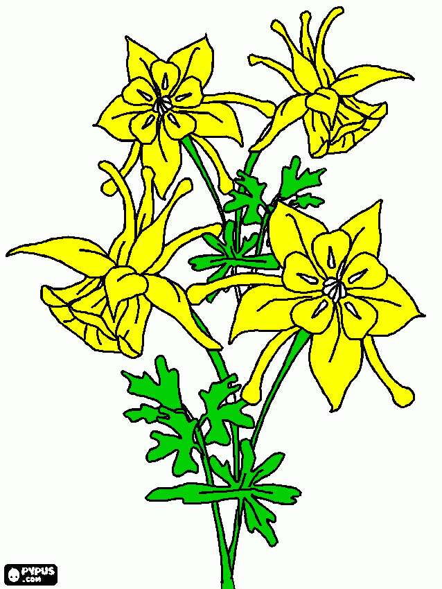 Bellflowers coloring page