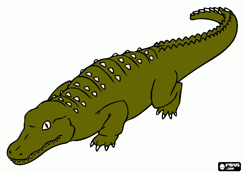 big bad croc coloring page