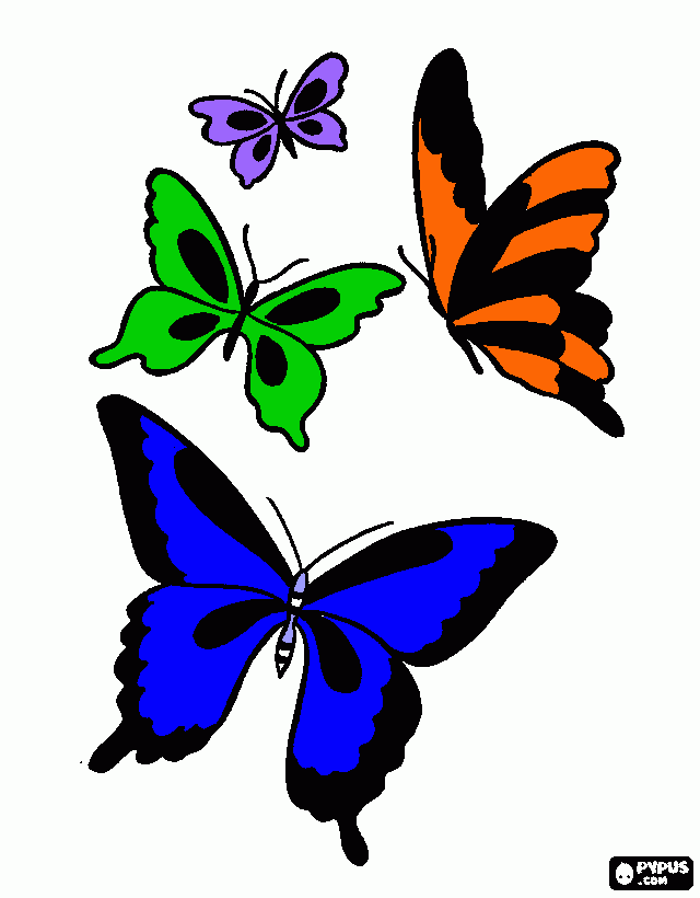 buterflies coloring page