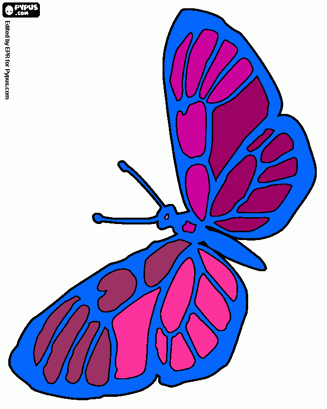 Butterfly in the sky coloring page