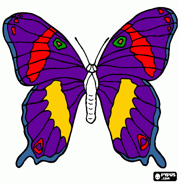 butterfly wings coloring page