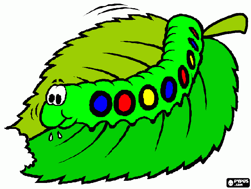 Caterpillar coloring page