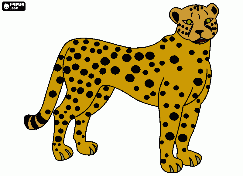 Cheetah, the fastest land animal reaching 75 mph  coloring page