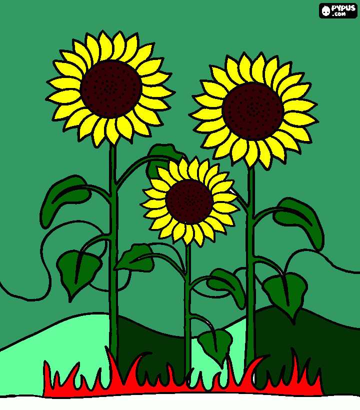 Crazy Sunflowers coloring page