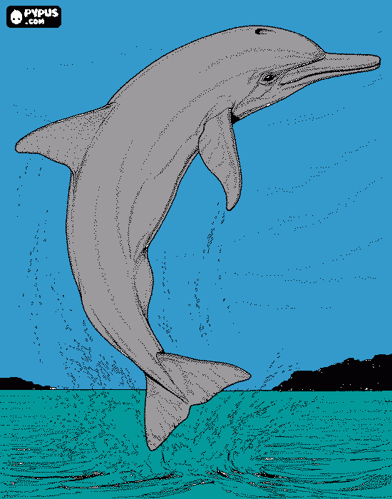 dauphin coloring page