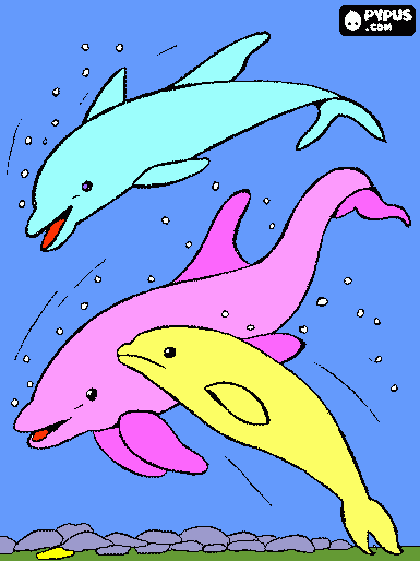 Delphin coloring page