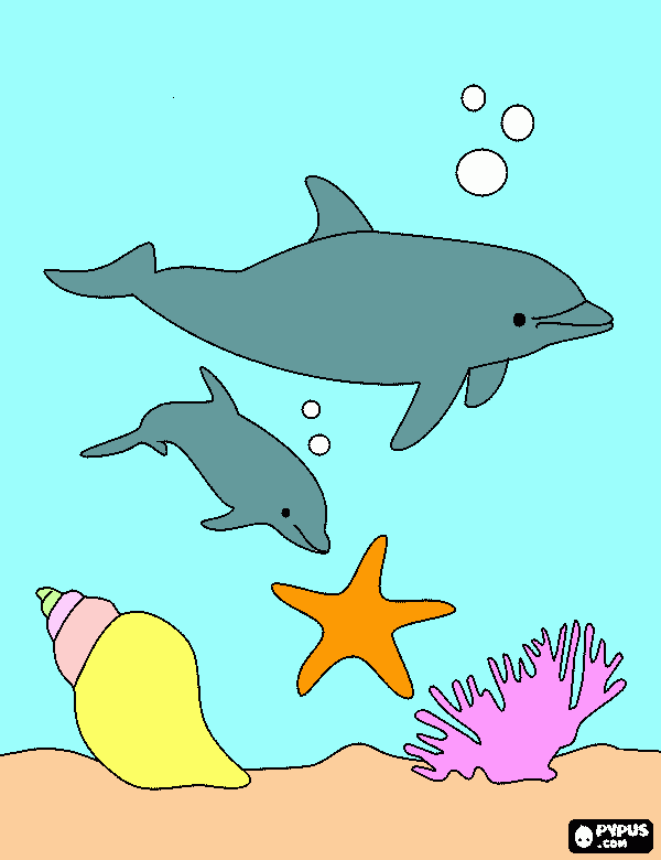 Dolphin and Baby In The Ocean coloring page