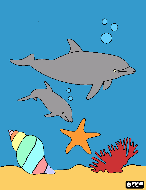 dolphins swim coloring page