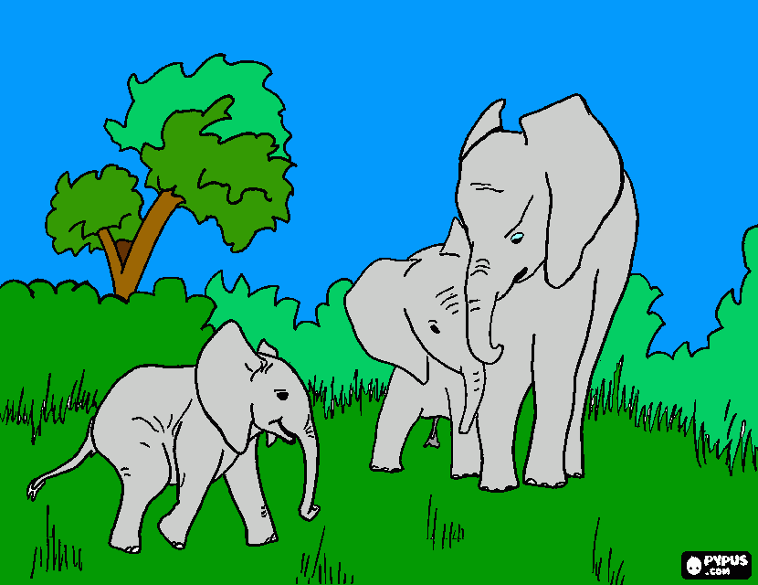 Drawing of Elephant coloring page