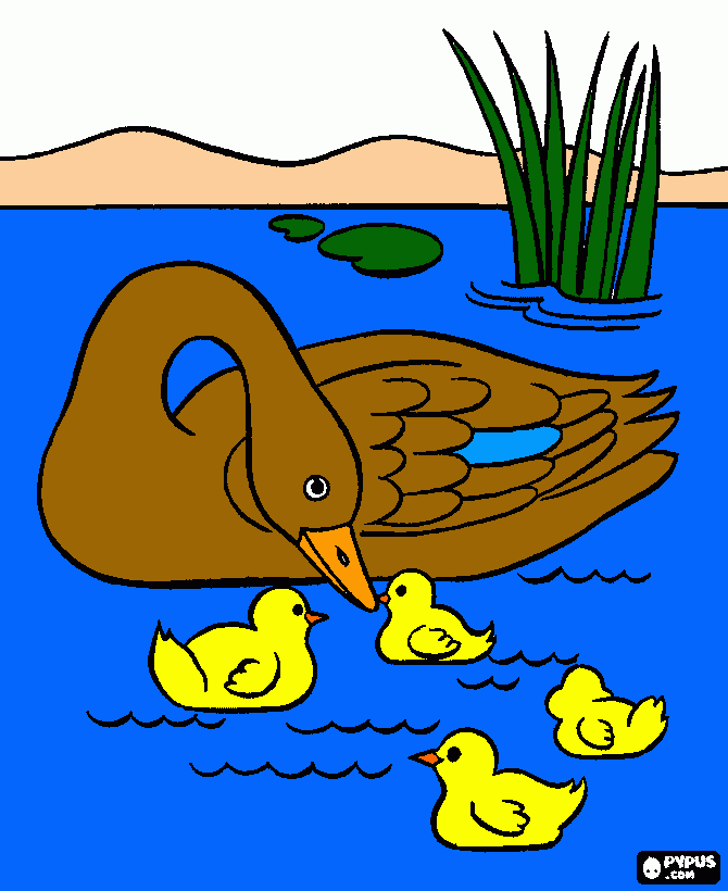 Female duck with ducklings coloring page