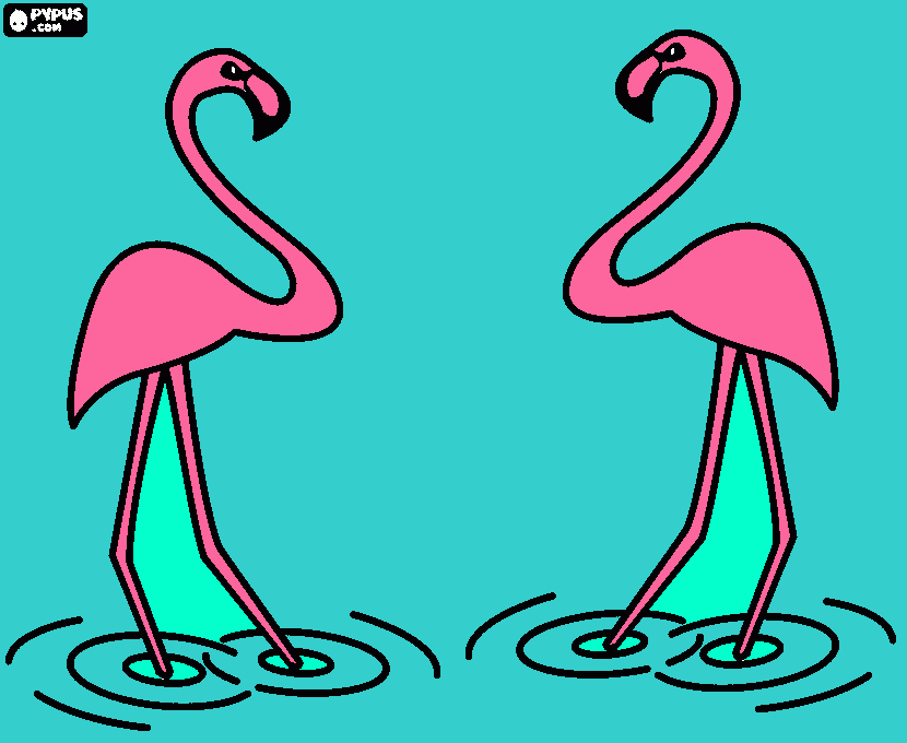 flamingos coloring page