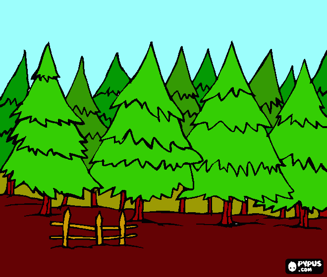 forest 2 coloring page