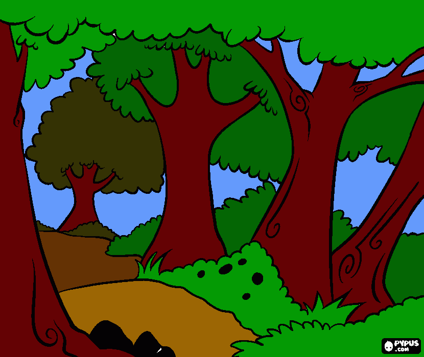 FOREST COLOUR coloring page