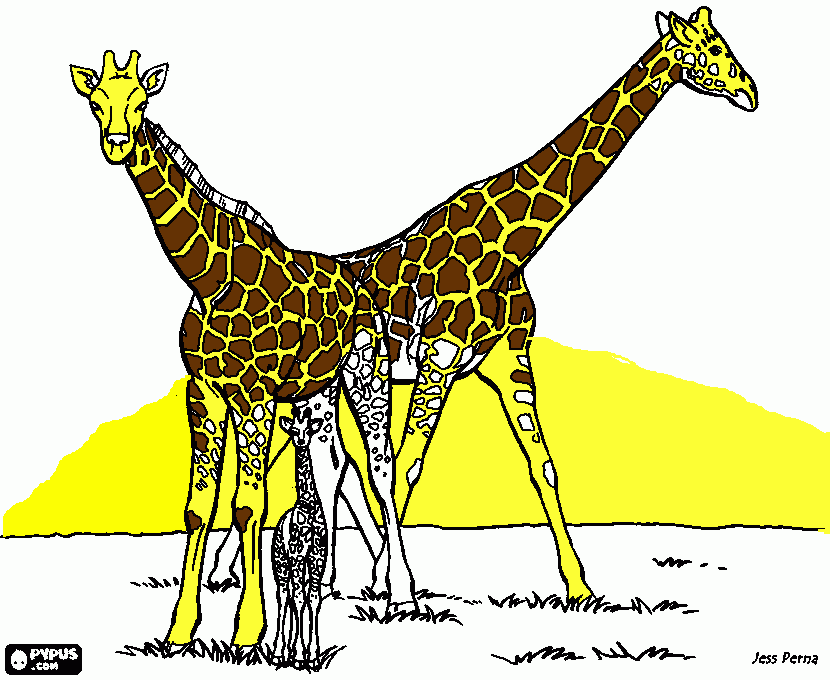 Giraffes with baby coloring page