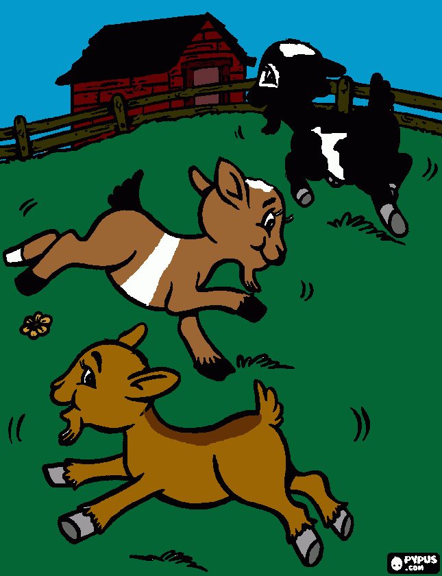 GOATS! coloring page