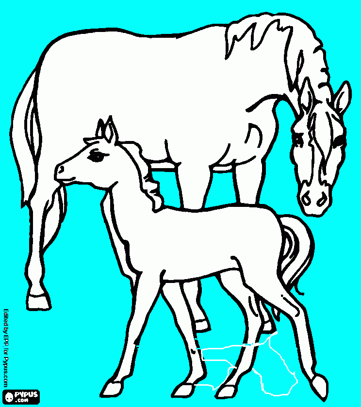 horse and foal coloring page