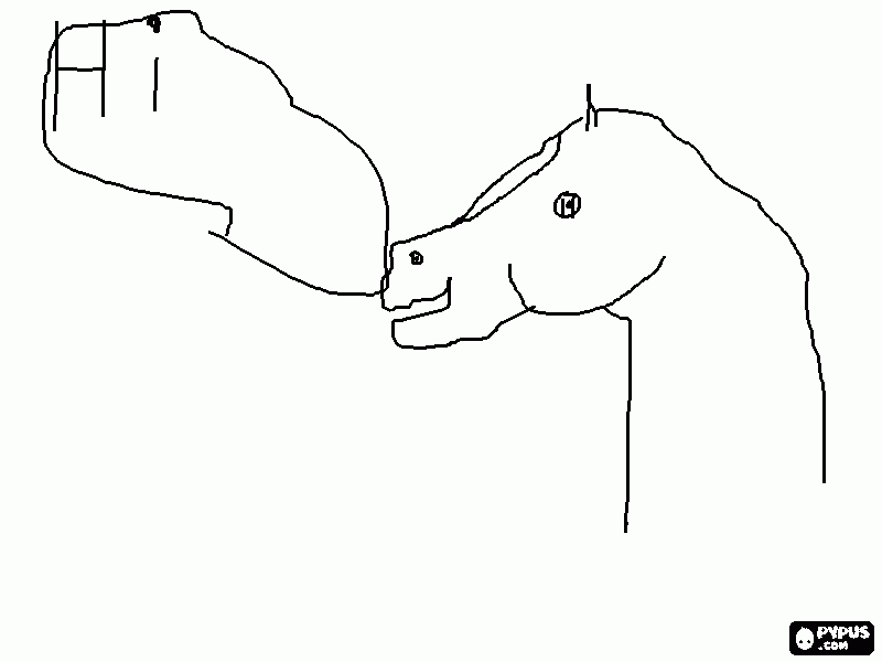 horse cartoon coloring page