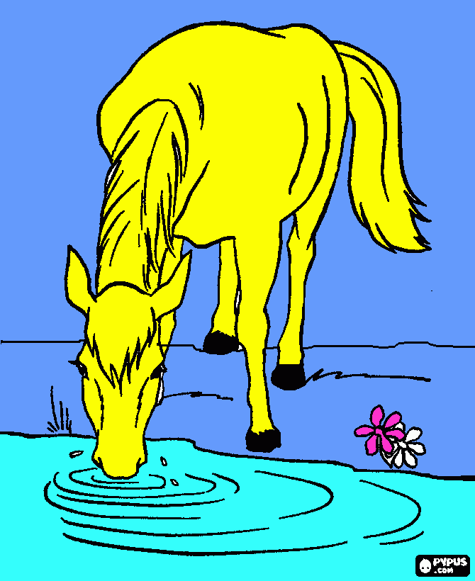 horse drinking water coloring page