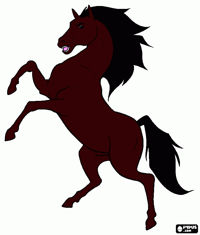 horse on rear legs coloring page