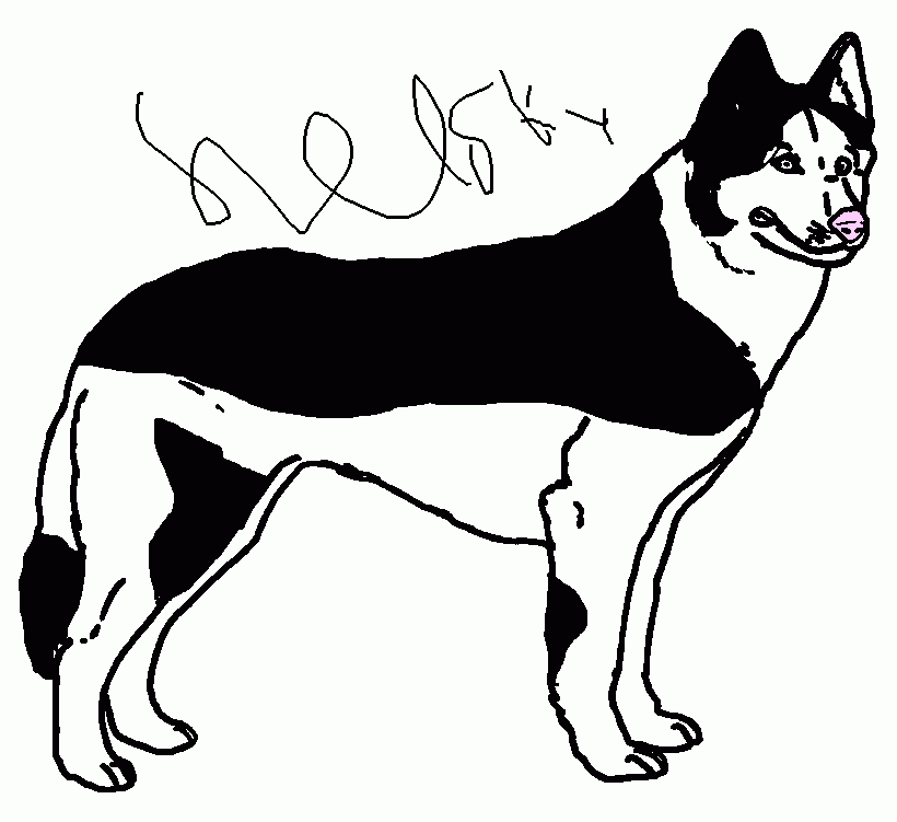 baby husky coloring pages - photo #26