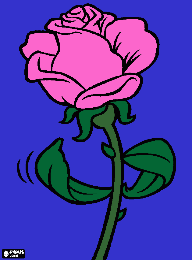 its a pink rose for you coloring page