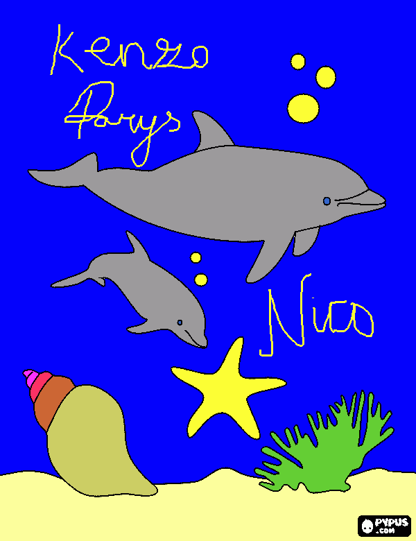 Kenzo's Dolphins coloring page