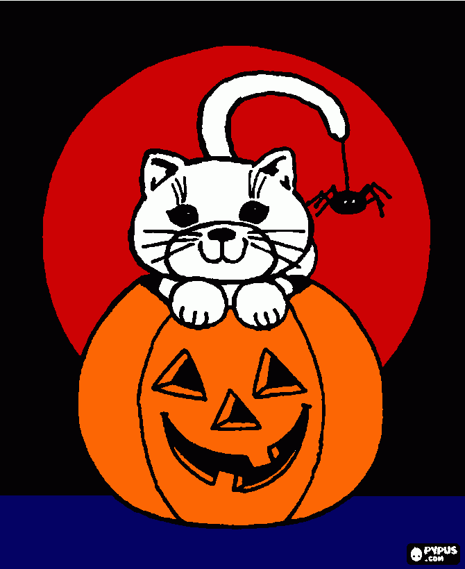 kitty in pumkin coloring page