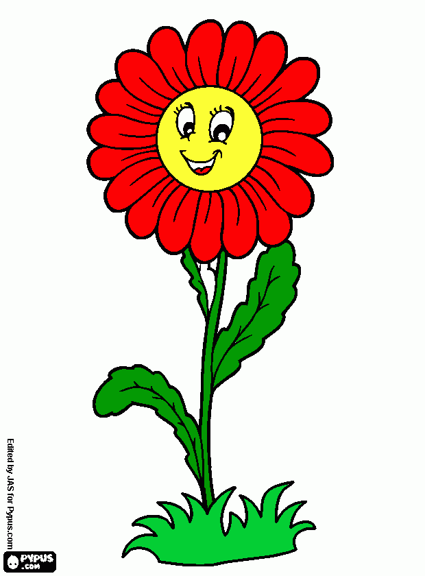 kytka coloring page
