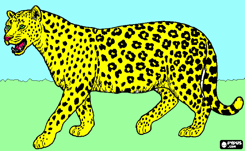 Leopard on the hunt coloring page