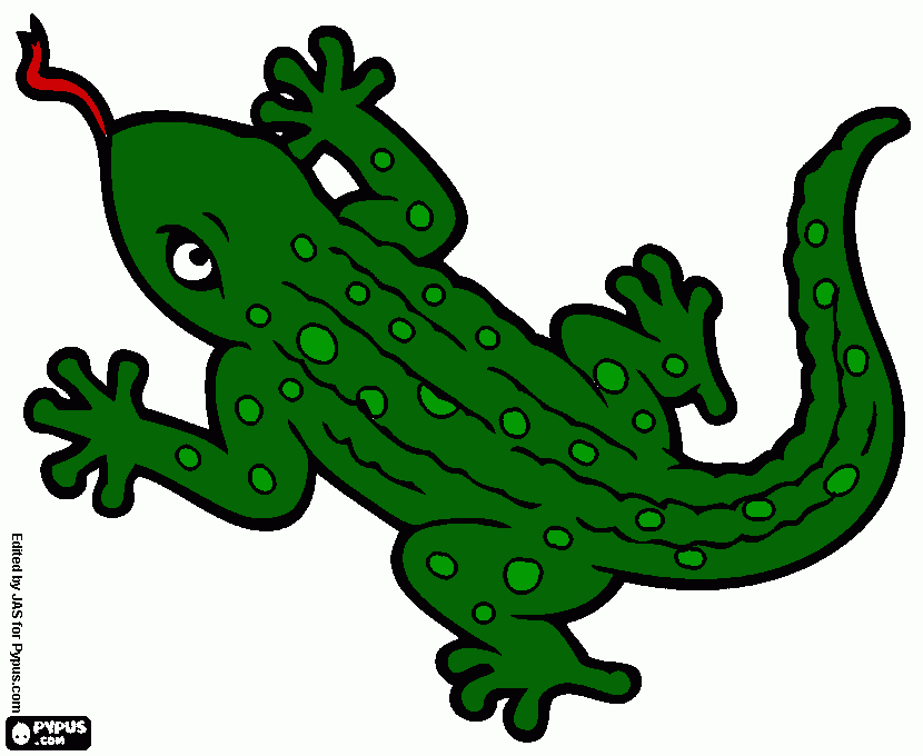 LIZARD!! coloring page