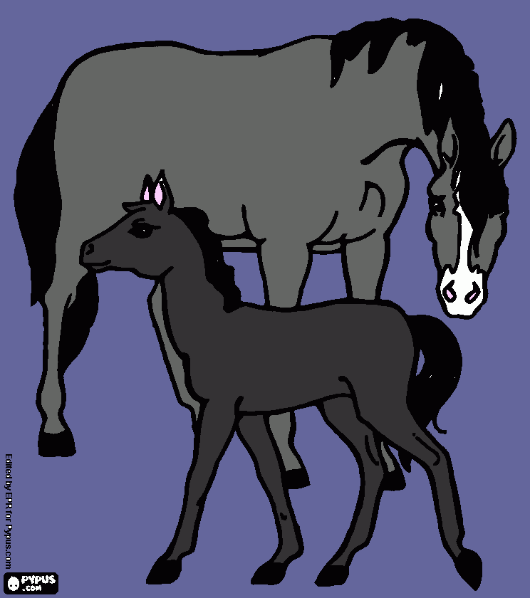 mare and foal coloring page