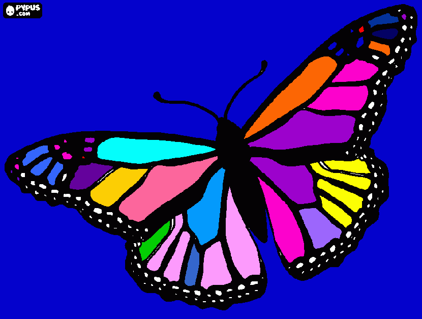 modern butterfly coloring page