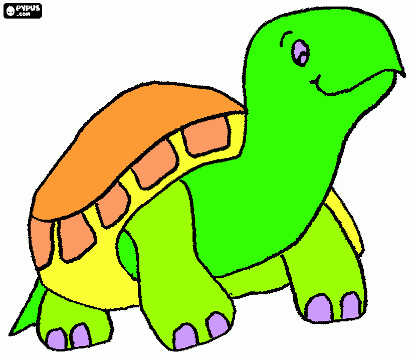 One cute turtle coloring page