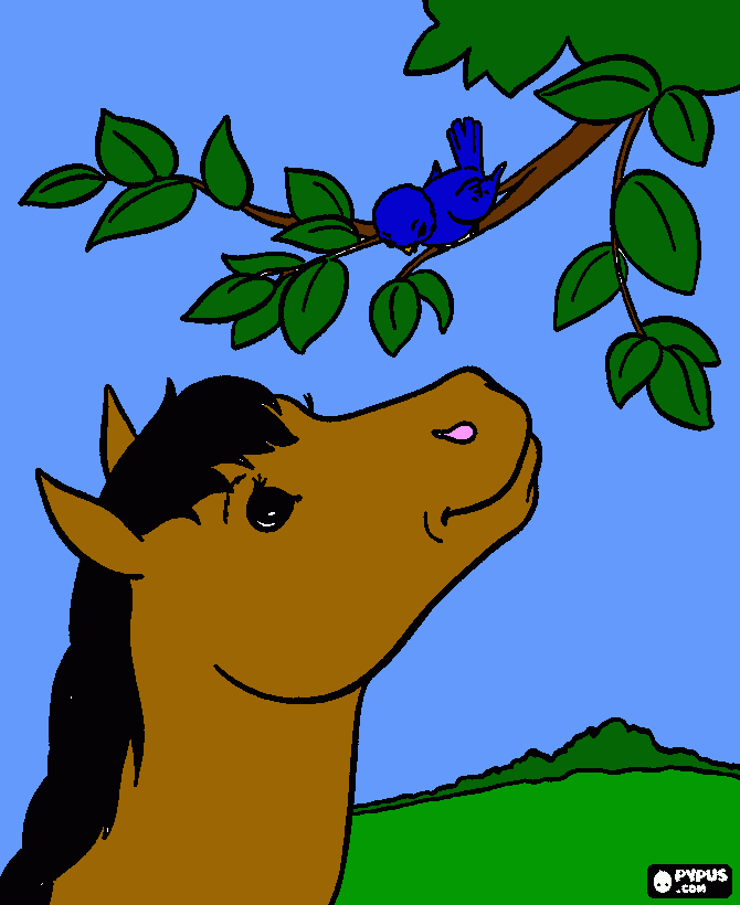 pony and bluebird coloring page