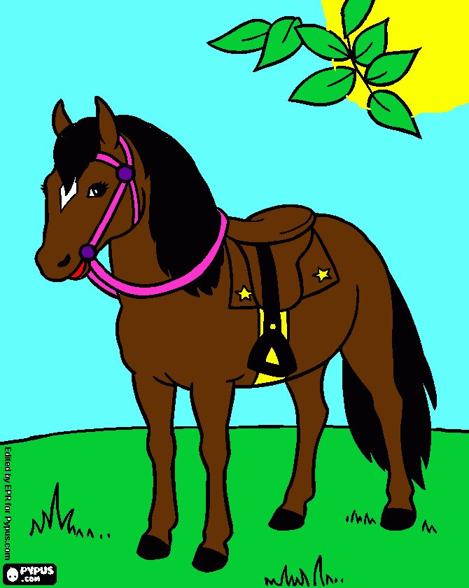 Pony with riding gear on coloring page
