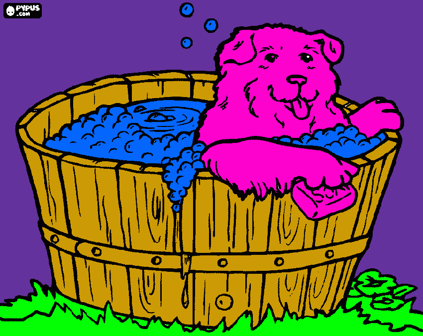 Puppy or small dog taking a bath coloring page