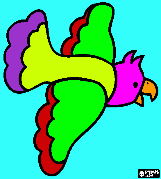 Rainbow lorikeet coloring page