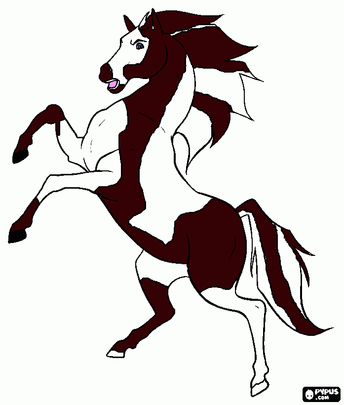 rearing horse coloring page